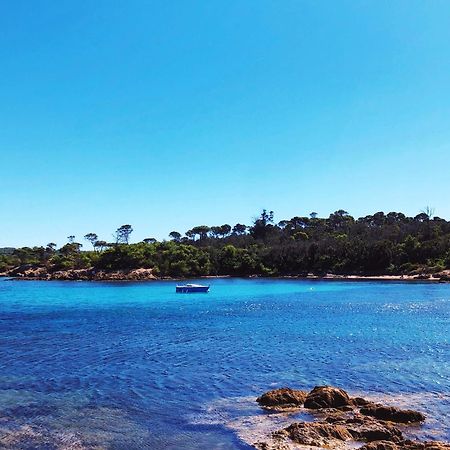 T2 Avec Terrasse & Parking A 5 Min Du Centre, 10 Min Des Plages Hyères Esterno foto