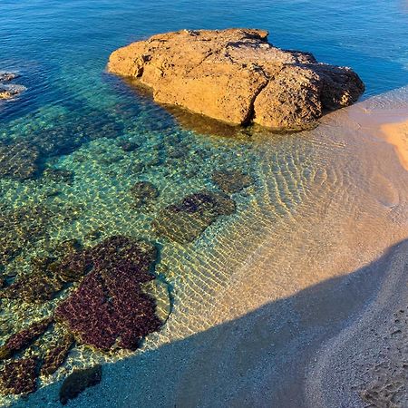 T2 Avec Terrasse & Parking A 5 Min Du Centre, 10 Min Des Plages Hyères Esterno foto