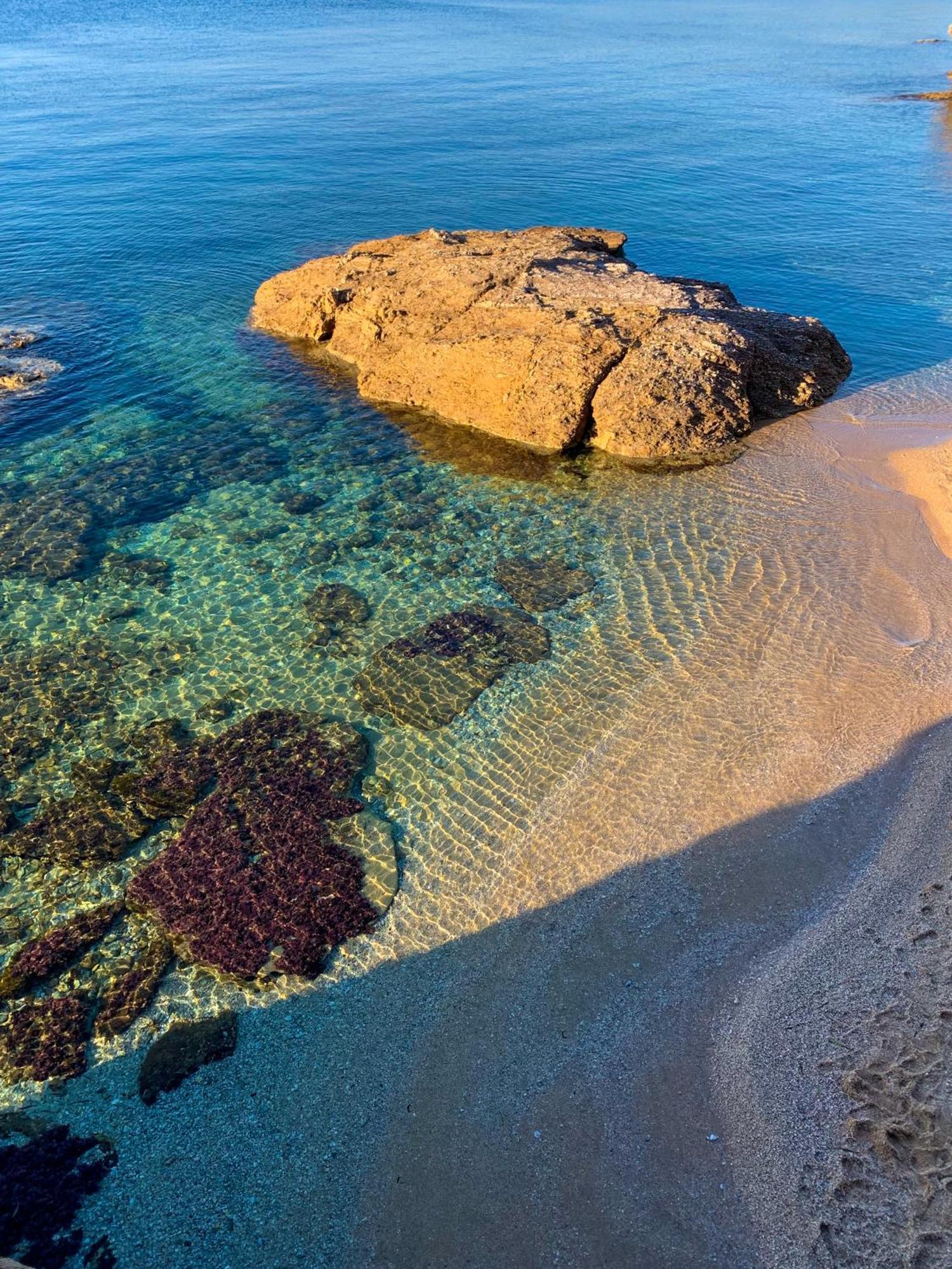 T2 Avec Terrasse & Parking A 5 Min Du Centre, 10 Min Des Plages Hyères Esterno foto